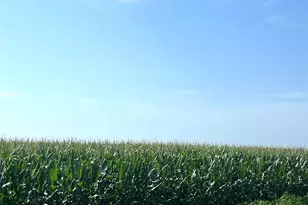 00 County Road 403, El Campo, TX 77437 - Photo 7