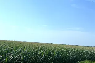 00 County Road 403, El Campo, TX 77437 - Photo 3