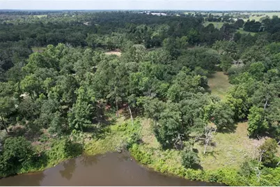 Tract 153 Private Road 1311, Centerville, TX 75833 - Photo 19