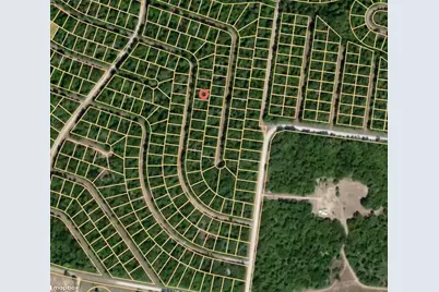 Lot 56 Redbud Lane, Normangee, TX 77871 - Photo 3