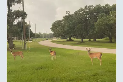 1601 Old Henry Court, Angleton, TX 77515 - Photo 19