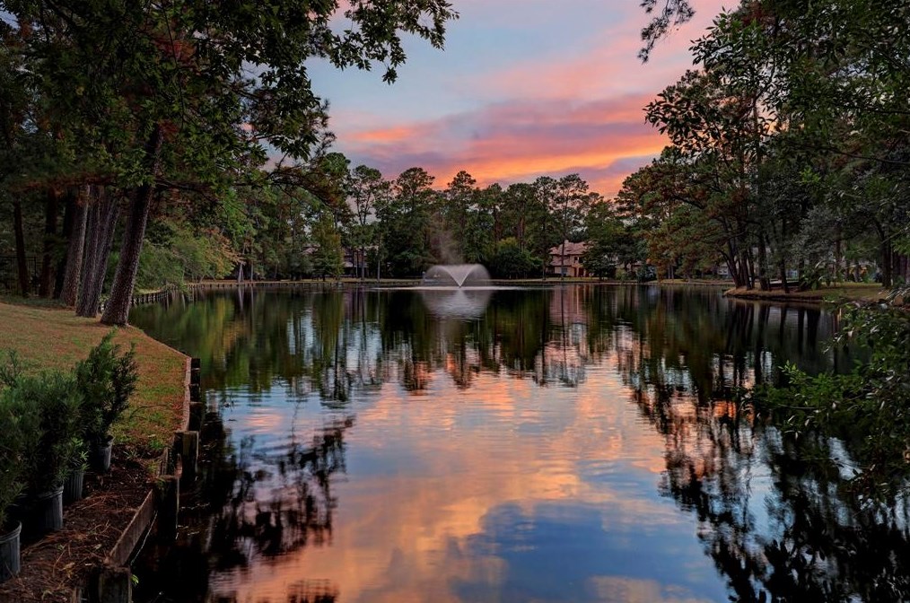 147 Knipp Rd, Houston TX  77024-7138 exterior