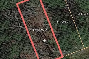 0 Fairway Dr, Trinity, TX 75862 - Photo 1