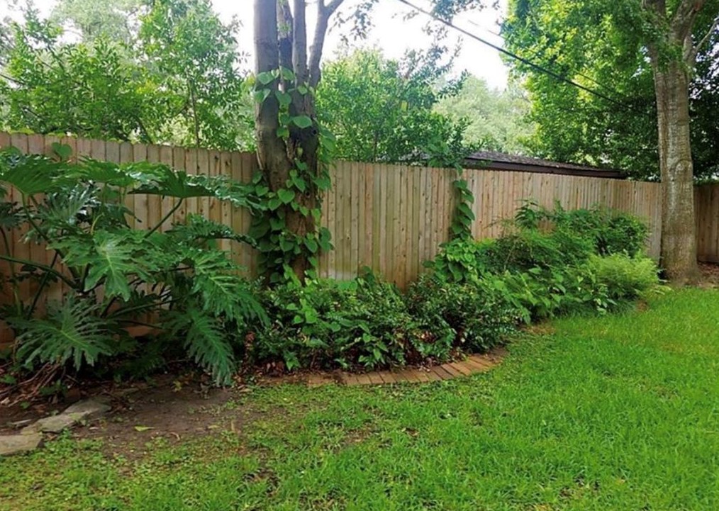 3919 Main St, Houston TX  77035-6542 exterior