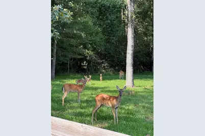 4B-6-205 Single Shot Court, Huntsville, TX 77340 - Photo 23