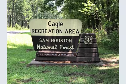 4B-6-205 Single Shot Court, Huntsville, TX 77340 - Photo 19