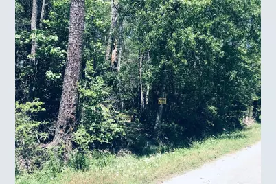 0 Eva Street, Orange, TX 77632 - Photo 3