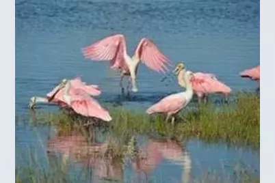 18 Half Moon, Hitchcock, TX 77563 - Photo 23