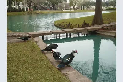 5005 Hidalgo Street #601, Houston, TX 77056 - Photo 41