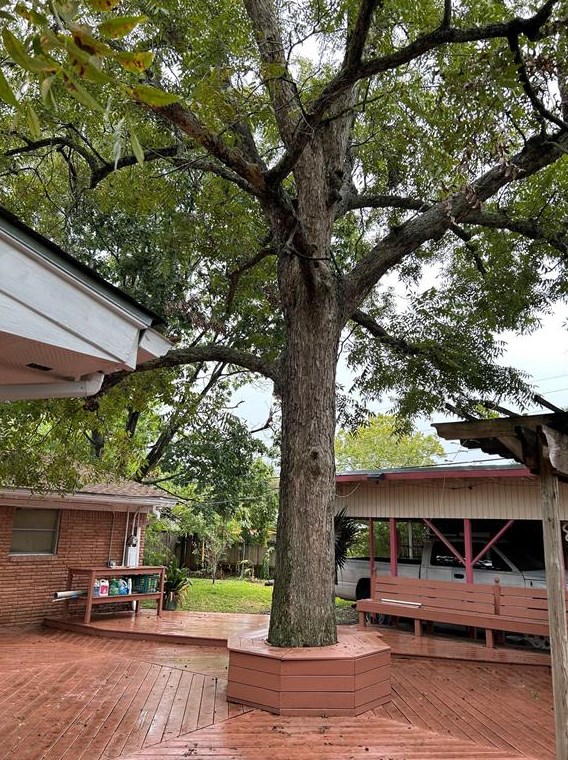7035 Leader St, Houston TX  77074-4916 exterior