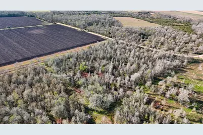 5000 Brewer Road, Sealy, TX 77474 - Photo 7