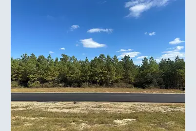 16307 Ridge Oak Road, Willis, TX 77378 - Photo 3