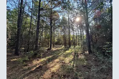 1-1-51 Saddle Ridge Drive, Huntsville, TX 77340 - Photo 11