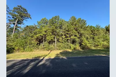 1-1-51 Saddle Ridge Drive, Huntsville, TX 77340 - Photo 9