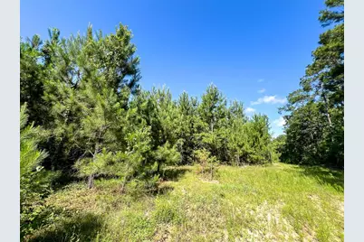 0 Cr 3550, Woodville, TX 75979 - Photo 7