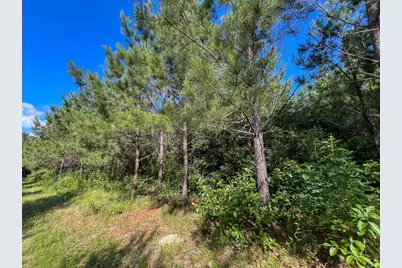 0 Cr 3550, Woodville, TX 75979 - Photo 15