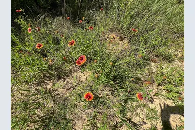 0 Cr 3550, Woodville, TX 75979 - Photo 5