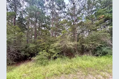 Tbd Parkview Drive, Onalaska, TX 77360 - Photo 7