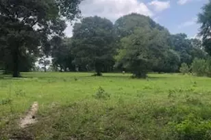 000 Counts Rd, Point Blank, TX 77364 - Photo 1