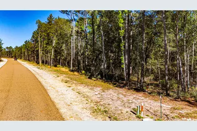 032 King Ranch Road S, Onalaska, TX 77360 - Photo 3