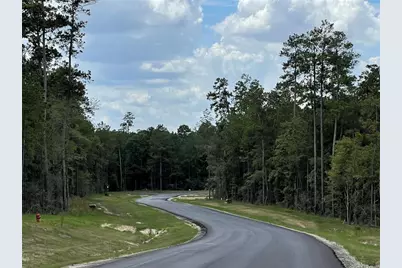 16068 Four Hills Rd, Willis, TX 77378 - Photo 5