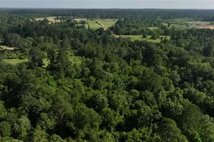 2268 S Fm 1486, Montgomery, TX 77316 - Photo 19
