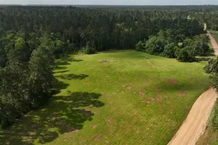 2268 S Fm 1486, Montgomery, TX 77316 - Photo 27