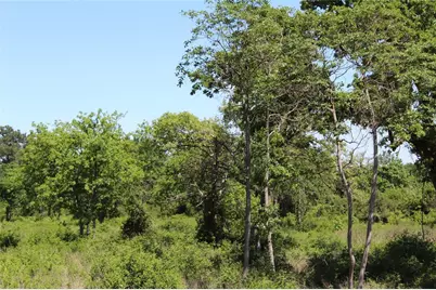 Tr 53 Pr 1315 Road, Centerville, TX 75833 - Photo 9