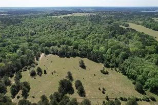 2954 Co Rd 2170, Grapeland, TX 75844 - Photo 1