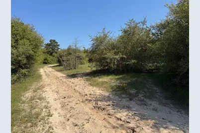 2954 County Road 2170, Grapeland, TX 75844 - Photo 27