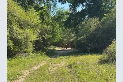 2954 County Road 2170, Grapeland, TX 75844 - Photo 25