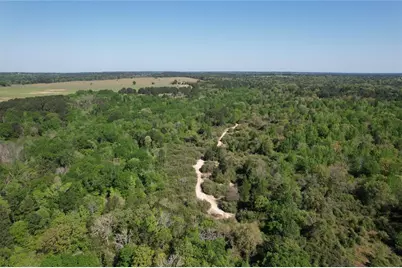 2954 County Road 2170, Grapeland, TX 75844 - Photo 23