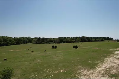 2954 County Road 2170, Grapeland, TX 75844 - Photo 17