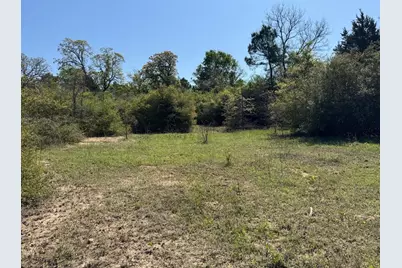 2954 County Road 2170, Grapeland, TX 75844 - Photo 11