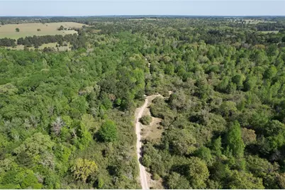 2954 County Road 2170, Grapeland, TX 75844 - Photo 5