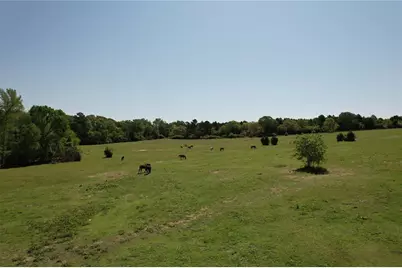 2954 County Road 2170, Grapeland, TX 75844 - Photo 15