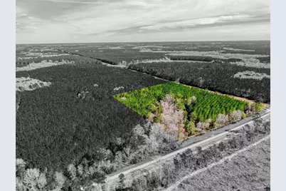 12155 State Highway 146 S, Livingston, TX 77351 - Photo 9