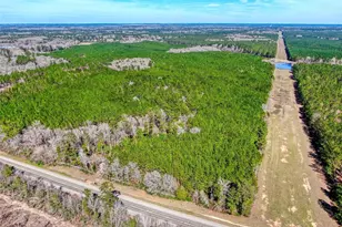 12155 State Hwy 146 S, Livingston, TX 77351 - Photo 1