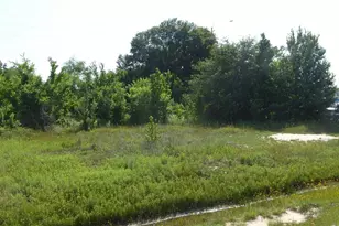 0 Tomball Pkwy, Houston, TX 77086 - Photo 5