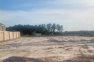 417 Emory Peak Ln, New Caney, TX 77357 - Photo 3