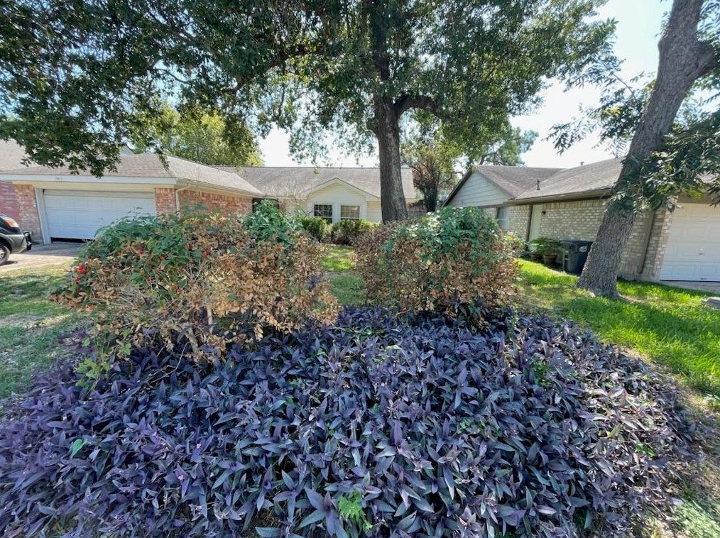 7411 Creekfield Dr, Spring TX  77379-4007 exterior
