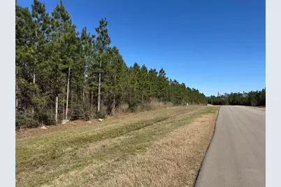 15999 Wood Grove Way, Willis, TX 77378 - Photo 7