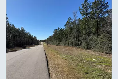 15999 Wood Grove Way, Willis, TX 77378 - Photo 9