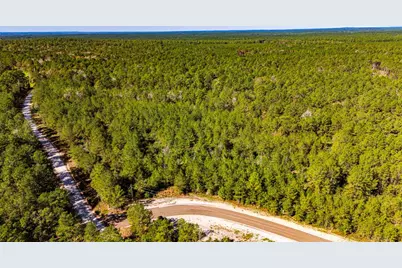 015 Magnolia Ranch Road, Onalaska, TX 77360 - Photo 3