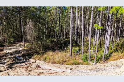 014 Magnolia Ranch Road, Onalaska, TX 77360 - Photo 7