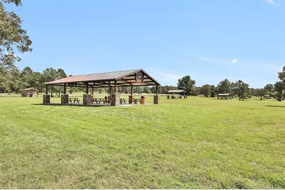 16049 Forest Mill Road, Willis, TX 77378 - Photo 13