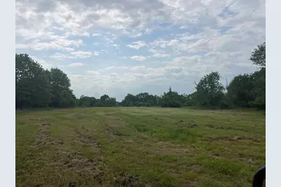 Tract # 1 County Road 123, Iola, TX 77861 - Photo 7