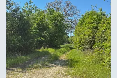 Tract # 1 County Road 123, Iola, TX 77861 - Photo 21