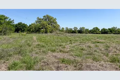 Tract # 1 County Road 123, Iola, TX 77861 - Photo 15