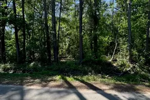 166 County Rd 3475, Cleveland, TX 77327 - Photo 1